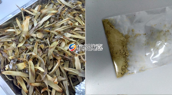 宋慈冷凍研磨儀研磨菠蘿實(shí)驗(yàn)案例